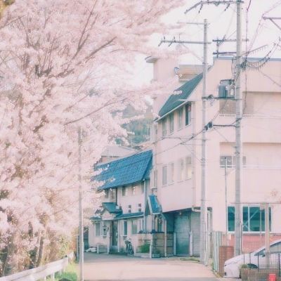 宝可梦探险寻宝安卓下载